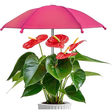 Parasol pour plantes de jardin, petit parasol pour plantes, armature en alliage avec piquet, protège du soleil intense, pour mini-pots, légumes de balcon, semis, protège contre les brûlures foliaires (1/5)