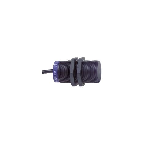 Télémécanique - Sens. induttivo XS4 M30 - L 60 mm - PPS - Sn 15 mm - 12...48V CC - Cavo 2 m - XS4P30PA370