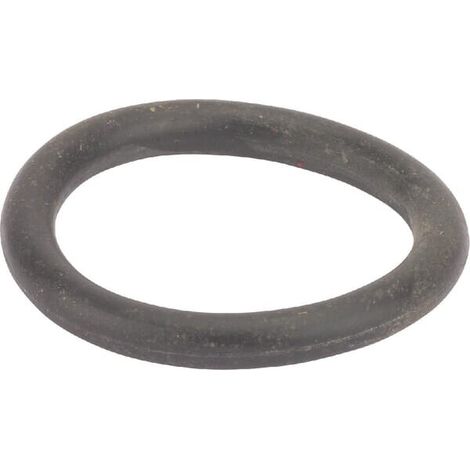 O-Ring 16x2,5 LEMKEN F612030