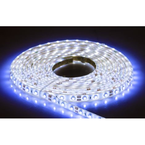 Ruban LED Bleu 5m 12V, IP65 ( Prix pour 1 ) (1/3)