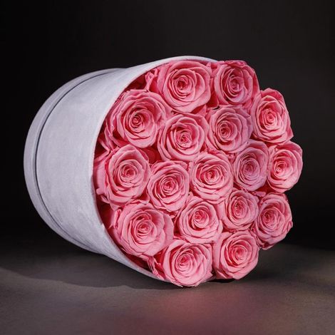 19 rosas preservadas de color rosa claro (caja de regalo de terciopelo de lujo)