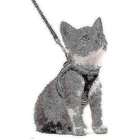 Ensemble harnais et laisse pour chat, anti-fugue, réglable (1/5)
