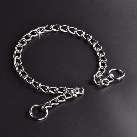 Collier de dressage pour chien en acier inoxydable, chaîne et laisse pour animaux de compagnie (1/5)