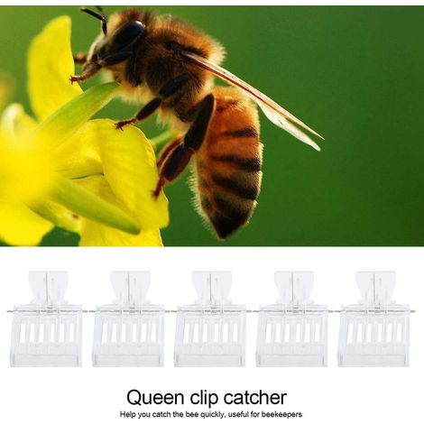 Lot de 5 pinces à reines en plastique pour cage d'abeilles, outil apicole (1/5)