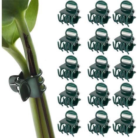 Lot de 50 clips de jardinage en plastique — Clips de fixation pour plantes et clips de greffage pour Phalaenopsis (1/5)