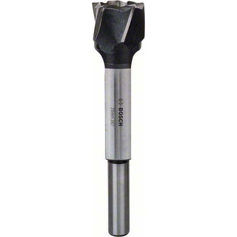 Bosch Zubehör - Zapfenschneider, Durchmesser 20 mm 2608585745 (1/5)