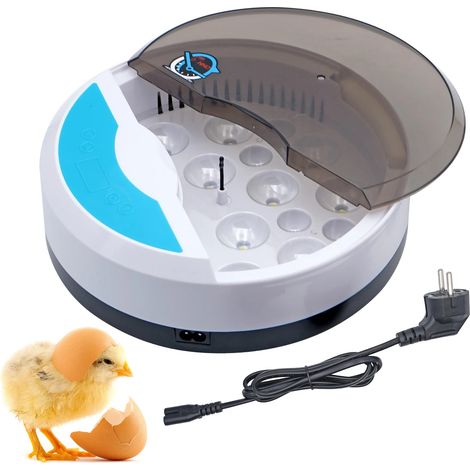 Incubadora para huevos, aves de corral y pájaros, 9 piezas, termostato (1/5)
