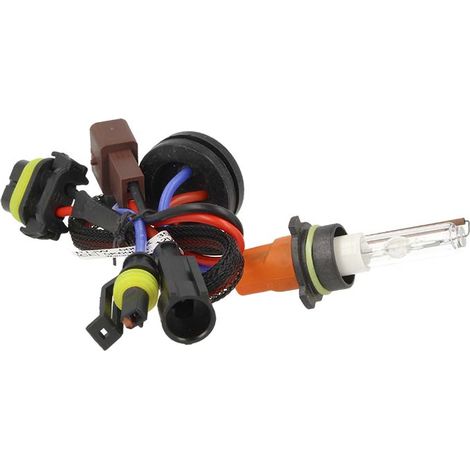 Lampada Hid Xenon P13W 6000K (1/3)
