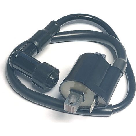 Ignition coil compatible with HONDA ATC 110 three-wheeled trikes and quads (1981-1984). (1/4)