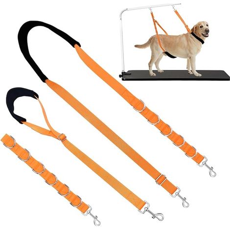 Laisse de Toilettage pour Chien Boucle de Nœud Coulant de Retenue de Toilettage pour Animaux de Compagnie Sangle d'extension de Toilettage pour Chiens de Petite et Moyenne Taille (1/5)