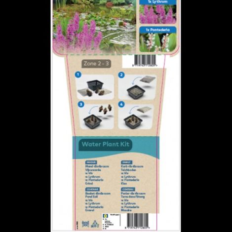 Kit de plantes d'étang - Plantes parfumées