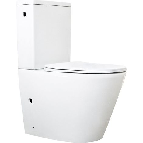 WC FELIX + robinet flotteur et mécanisme 3/6L + abattant soft close BASS blanc brillant (1/5)