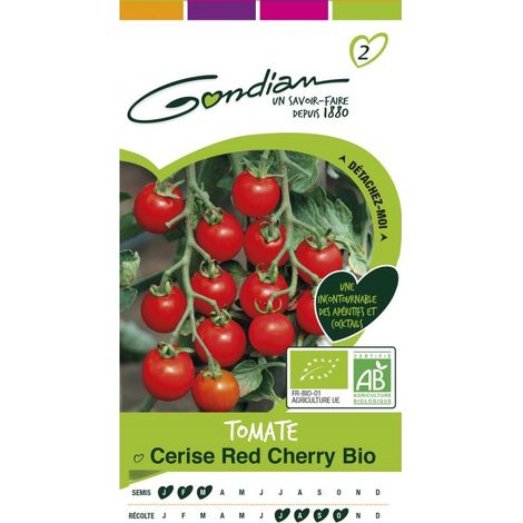 Gondian - Tomate Cerise Bio