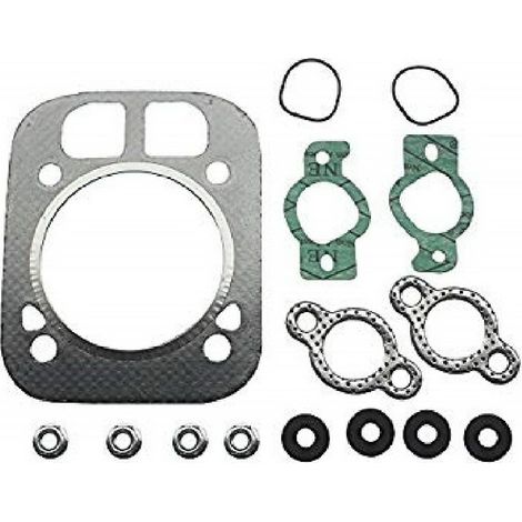 Kit Membranas compatible con Kohler Ref 504738