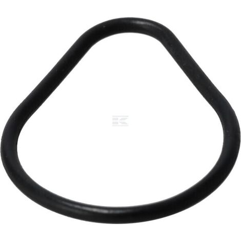Dichtungsring LONCIN 3808404670001 (1/2)