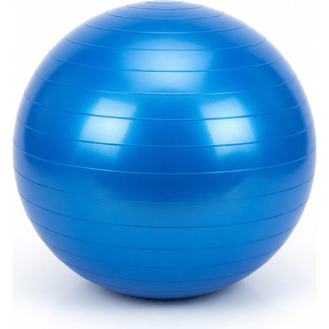 Ballon de yoga PVC bleu 65 cm modèle 58 800g (1/5)