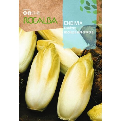 Rokalba Seed Endivia Mechelse Middelvroeg 100g