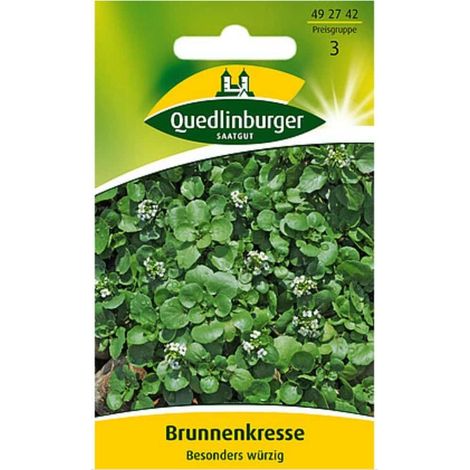 Quedlinburger Brunnenkresse - Kräutersamen (1/2)