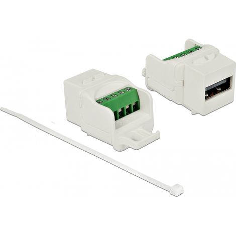 Delock MÃ³dulo Keystone USB 2.0 A hembra a bloque de terminales blanco