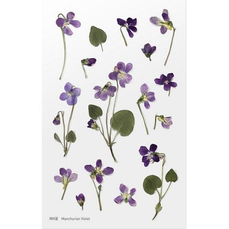 Adesivi decorativi a forma di fiore - Viola