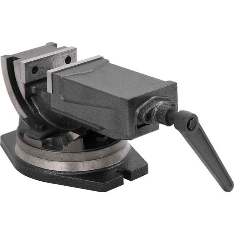 Étau d'Établi Inclinable à 2 Axes pour Perçage et Fraisage en Fonte Gris 100 mm (1/5)