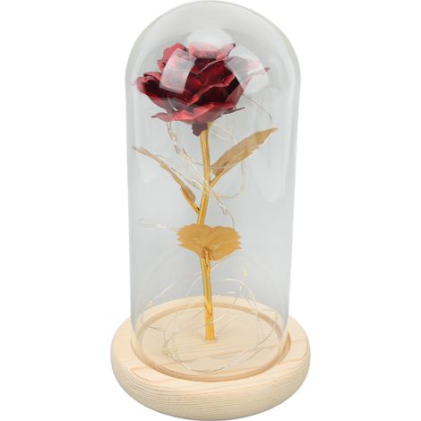 Rose éternelle illuminée sous cloche - Idée cadeau anniversaire ou mariage, décoration romantique et élégante pour la maison (1/5)