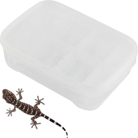 Cage d'élevage pour geckos Lizard Tank à 14 compartiments, boîte transparente pour reptiles, idéale pour le transport et l'escalade. (1/5)