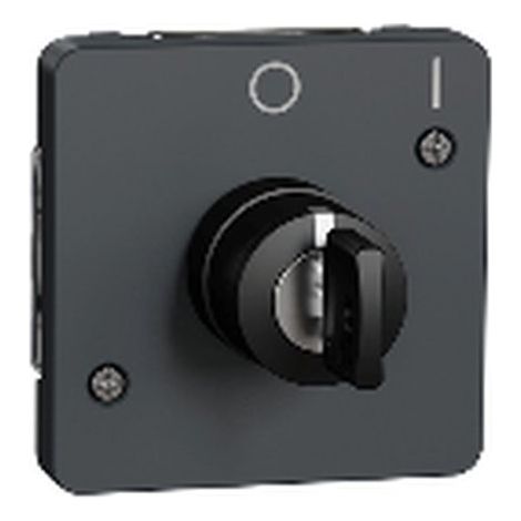 Conmutador de llave MUREVA gris IP55 230 V AC 3 A 2 posiciones superficie
