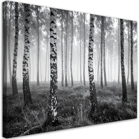 Impression sur Toile, Forêt de bouleaux brouillard paysage en noir et blanc,30x20 (1/4)