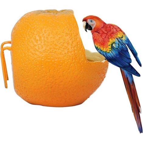 Boîte à nourriture pour perroquets, idéale pour décorer une cage. Mangeoire en forme de fruit aux couleurs vives, avec clip de fixation pour une installation facile. Fabriquée en plastique de haute qu