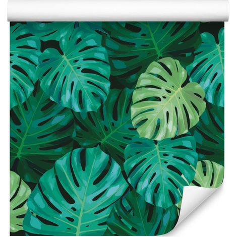 Carta da parati con foglie di Monstera per soggiorno e camera da letto, 50x1000 cm (1/5)