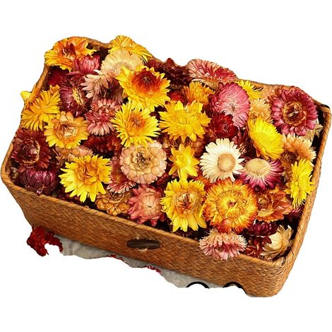 Flores secas, decoración natural, suministros para manualidades DIY, A (1/2)