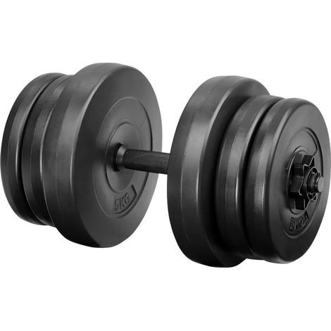 1 haltère Musculation 20 kg. 6 disques, Plastique ABS pour une Musculation Efficace (1/4)