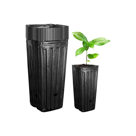 3 packs de 20 pots de culture noirs – Conteneurs profonds pour semis et jeunes plants – Idéal pour fleurs, légumes et pépinière (1/5)