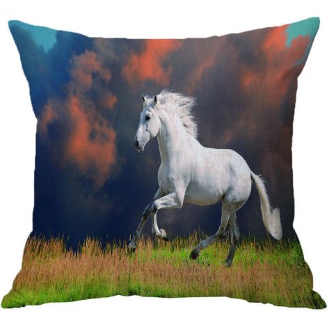 Housse de coussin taie d'oreiller en lin velours pour canapé-lit Home Decor n ° 1 45x45cm (1/5)