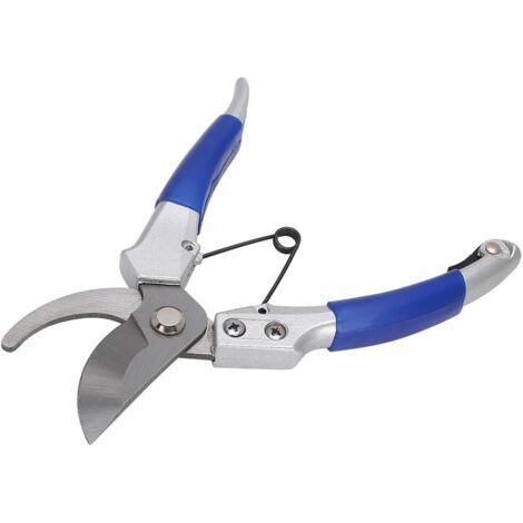 Forged Professional Scissors, Garden Pruning Shears, Straight Blade Shears in Steel and Titanium, Bypass Cut, Ergonomic Handles, for Flower Gardens, Bonsai (1/4)