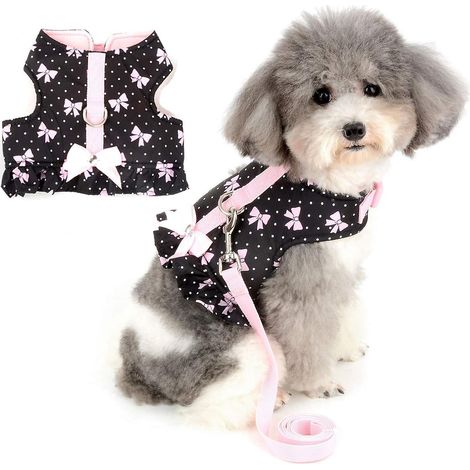 Ensemble harnais et laisse rembourrés en coton avec joli nœud papillon pour petit chien ou chiot - Robe-veste anti-traction pour chaton noire, taille M - Idéal pour Chihuahua, Yorkshire (1/5)