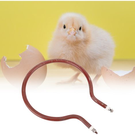Élément chauffant circulaire pour incubateur, accessoires pour incubateur (petit modèle circulaire de 300 W) (1/5)