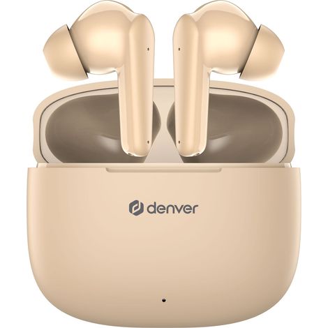 TWE-48NU Cuffie Bluetooth wireless con custodia di ricarica (1/5)