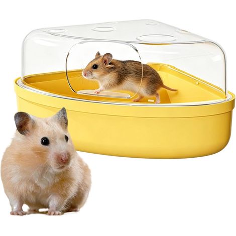 Bac à sable pour hamster Accessoires De Cage Transparents Et Étanches Toilette Pour Chinchilla Conteneur Et Boîte À Creuser Pour Souris Et Chinchilla, Enrichissement Et , Sommeil, Recherche De N (1/5)