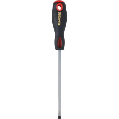 Tournevis plat mecanicien 4x100 DRAKKAR TOOLS - 13261