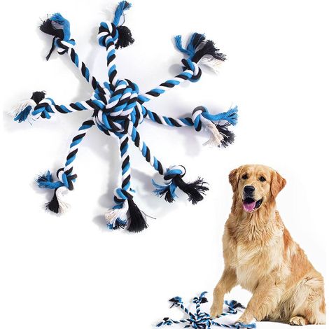 1 cordelette bleue tressée avec balle pour chien, chat et chien, jouet en coton pour soulager les poussées dentaires. (1/5)