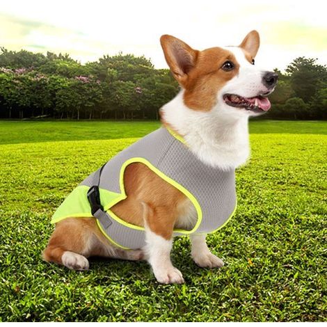 Chaleco refrescante para perros, ligero y ajustable, cómodo y adecuado para perros pequeños. Malla transpirable con protección UV (verde, L). (1/5)