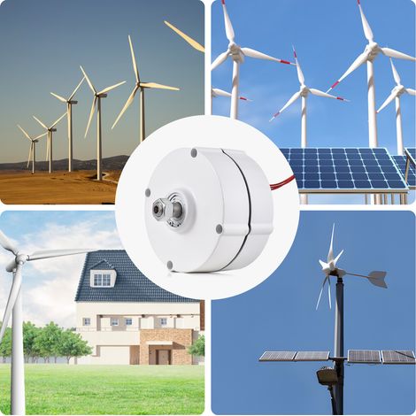 Générateur d'aimant permanent d'alternateur triphasé 300 W 750 tr/min 12 V haute vitesse terre rare NdFeB AC pour éolienne horizontale verticale (1/5)