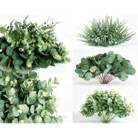 Lot de 180 tiges d'eucalyptus séchées - 3 types de feuilles d'eucalyptus séchées - Pour centres de table, bouquet de mariage, arrangement de fleurs artificielles (1/5)
