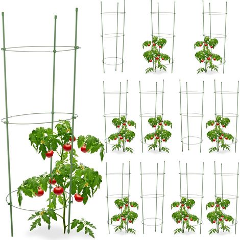 Relaxdays – Cage à tomates 12x – Tuteur plantes grimpantes avec 3 anneaux ajustables – Hauteur 76 cm – Support pour balcon et jardin