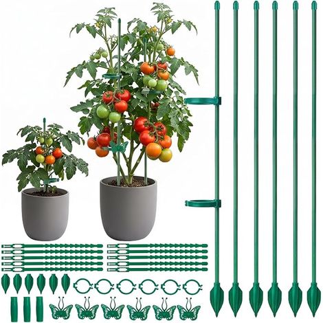 30 cm Adjustable Orchid Stakes with Clips (1/5)