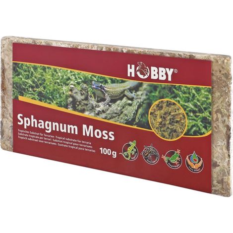 Dohse Aquaristik 34170 Spaghnum Moss (1/4)
