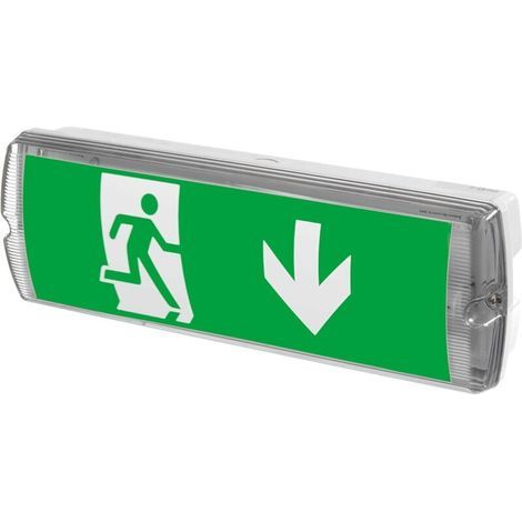 Panneau de sécurité LED, modèle IP65, pour signalisation d'évacuation lumineux (1/5)