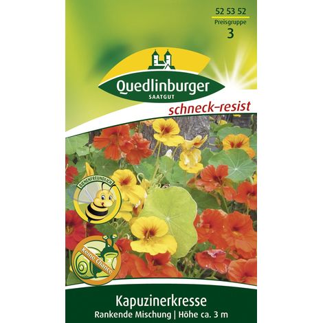 Quedlinburger Saatgut – Capucine grimpante en mélange – Graines de fleurs, hauteur env. 3 m, environ 2 m linéaires (1/2)